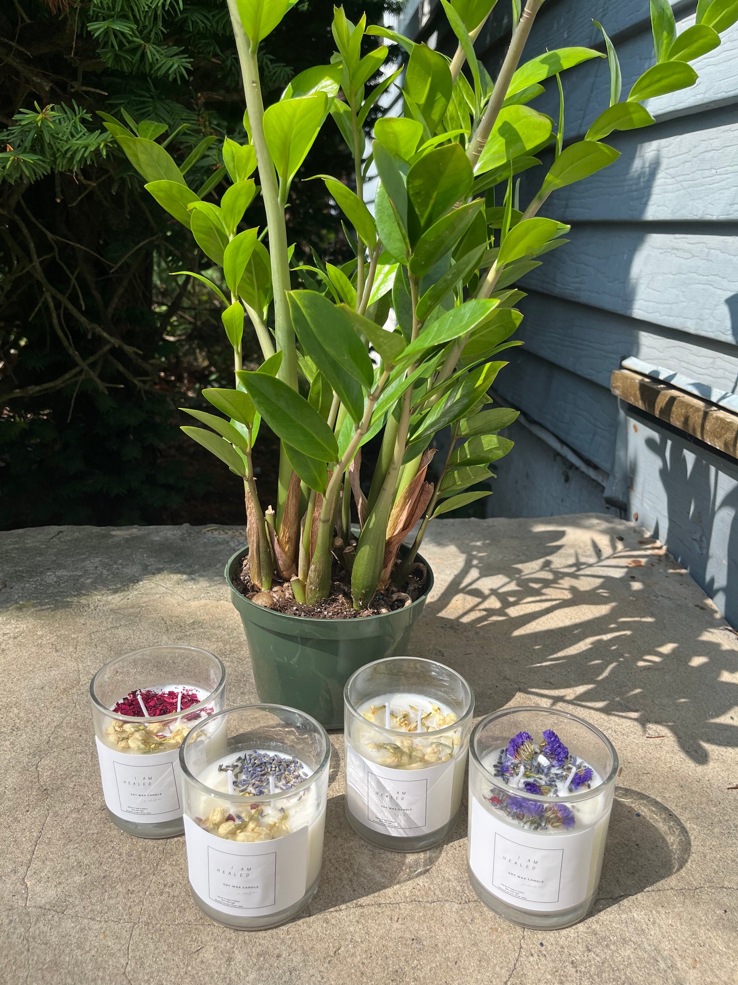 I am HEALED: Spiritual Soy Wax Candles 🚨PRE-SALE🚨 Now available