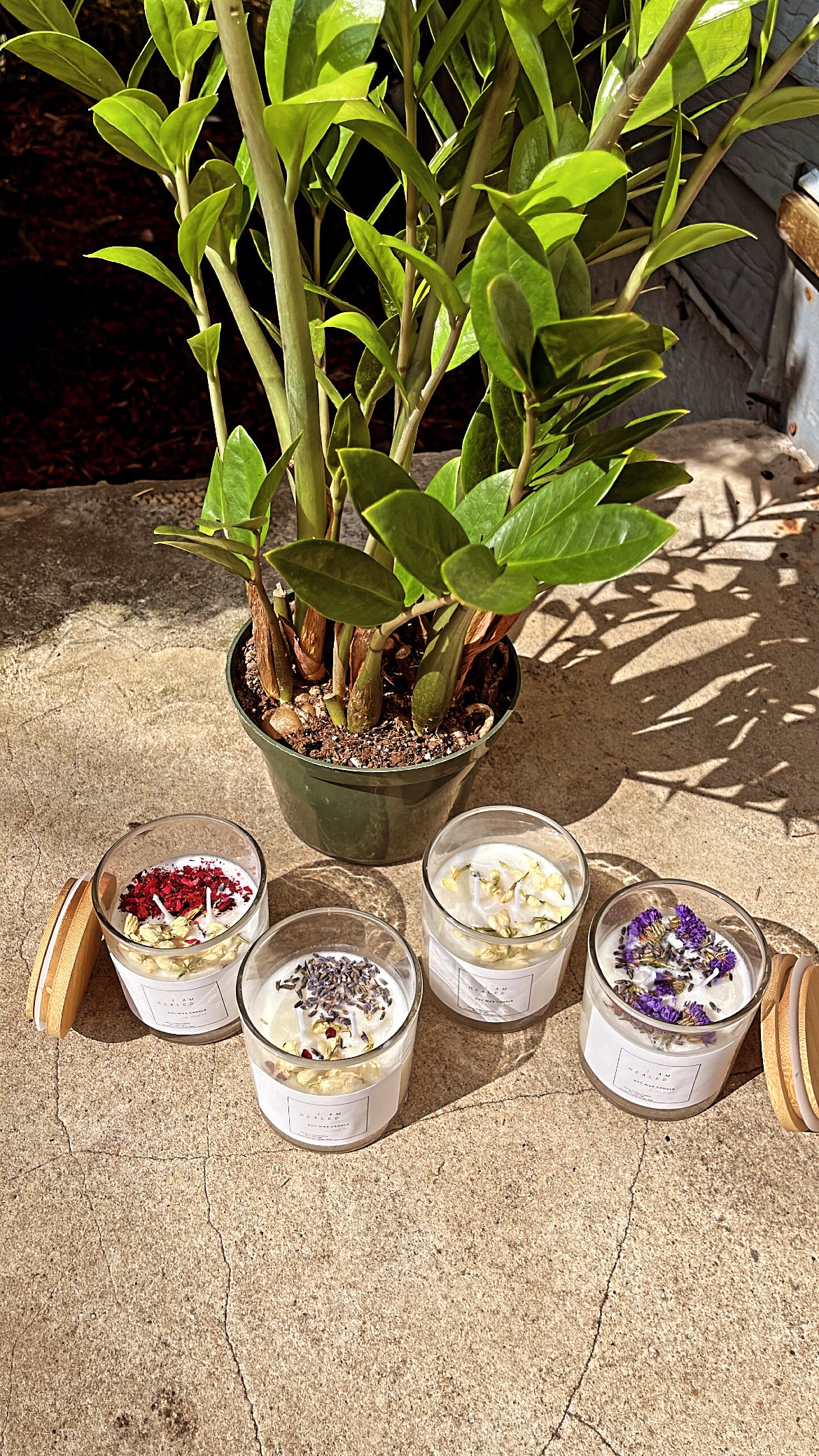 I am HEALED: Spiritual Soy Wax Candles 🚨PRE-SALE🚨 Now available