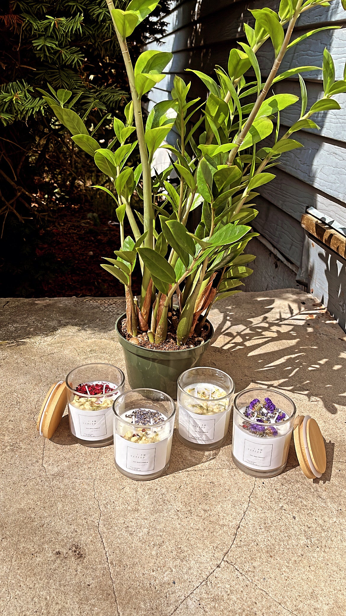 I am HEALED: Spiritual Soy Wax Candles 🚨PRE-SALE🚨 Now available
