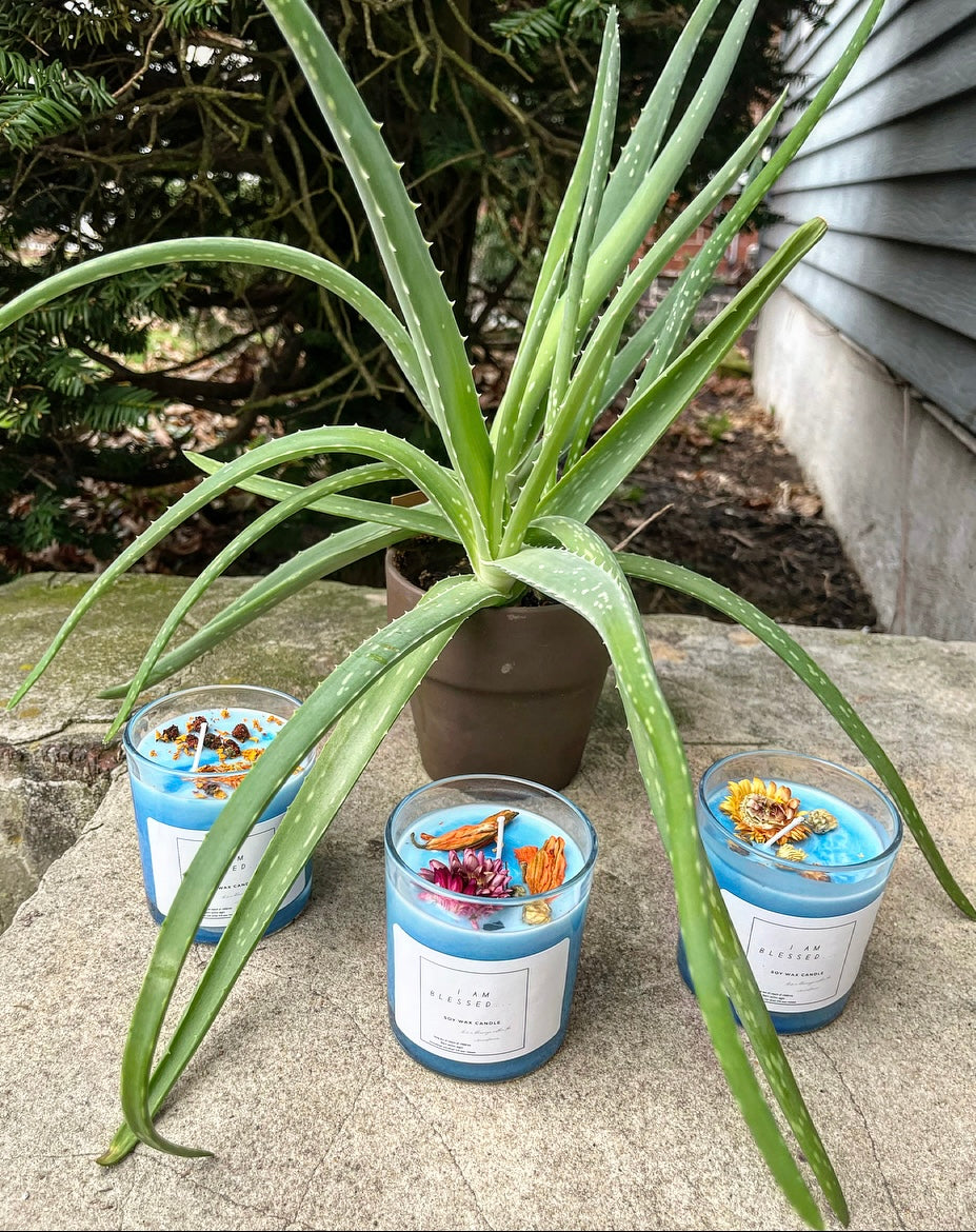 I am BLESSED: Spiritual Soy Wax Candles 🚨PRE-SALE🚨 Now available